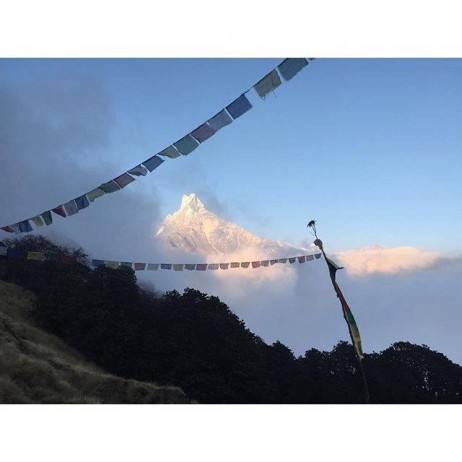 the majestic snow-capped peaks of the Himalayas