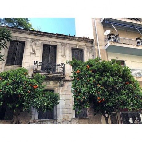 I enjoyed getting lost in the streets of Athens. It's especially fun when you find tangerines growing on random trees for passers-by :)